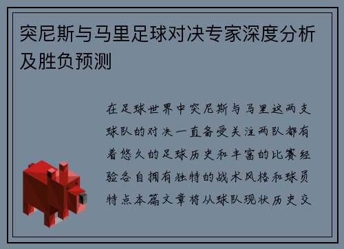 突尼斯与马里足球对决专家深度分析及胜负预测